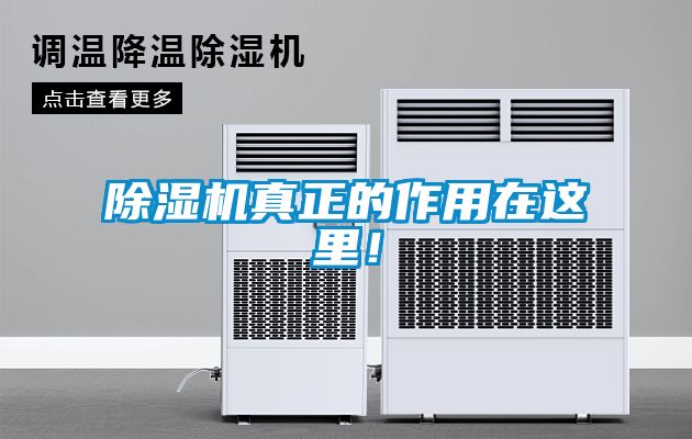 除濕機真正的作用在這里！