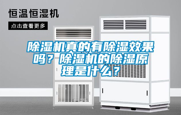 除濕機(jī)真的有除濕效果嗎？除濕機(jī)的除濕原理是什么？