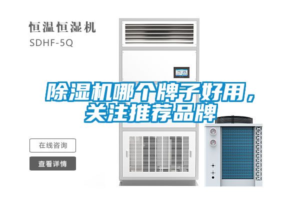 除濕機哪個牌子好用，關注推薦品牌