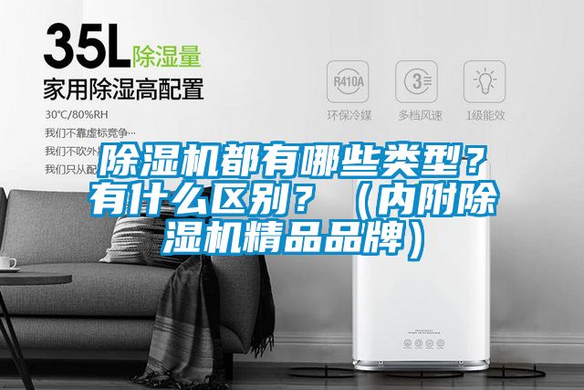除濕機(jī)都有哪些類型？有什么區(qū)別？（內(nèi)附除濕機(jī)精品品牌）