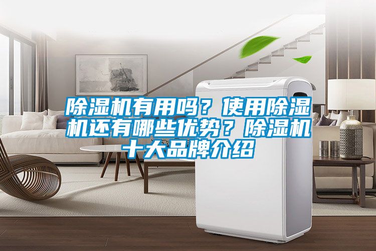 除濕機(jī)有用嗎？使用除濕機(jī)還有哪些優(yōu)勢？除濕機(jī)十大品牌介紹