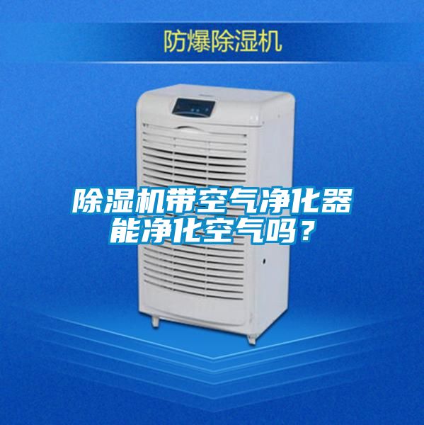 除濕機(jī)帶空氣凈化器能凈化空氣嗎？