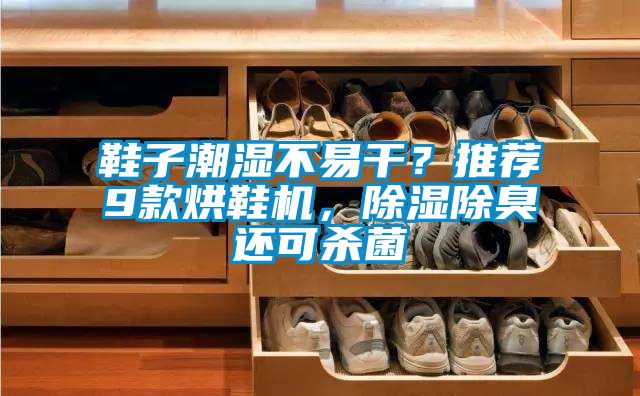 鞋子潮濕不易干？推薦9款烘鞋機(jī)，除濕除臭還可殺菌