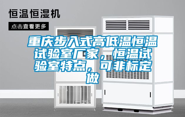重慶步入式高低溫恒溫試驗(yàn)室廠家，恒溫試驗(yàn)室特點(diǎn)，可非標(biāo)定做