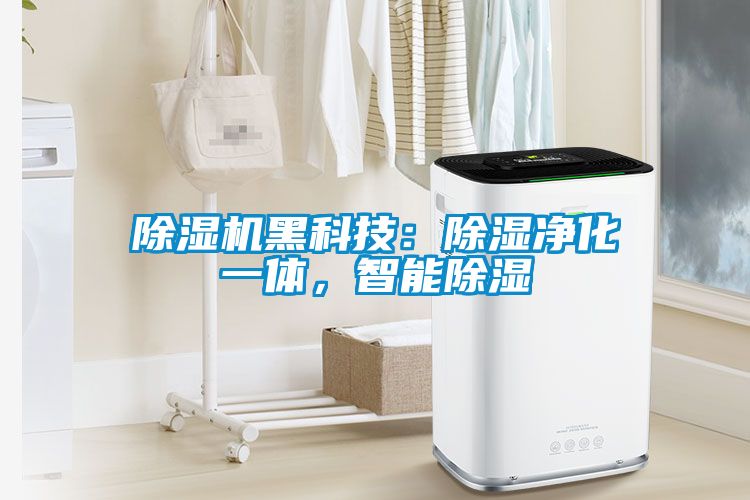 除濕機(jī)黑科技：除濕凈化一體，智能除濕