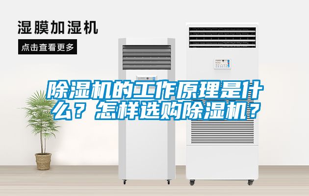除濕機(jī)的工作原理是什么？怎樣選購除濕機(jī)？