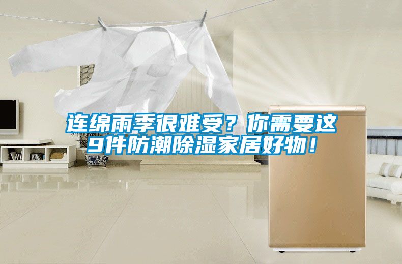 連綿雨季很難受？你需要這9件防潮除濕家居好物！