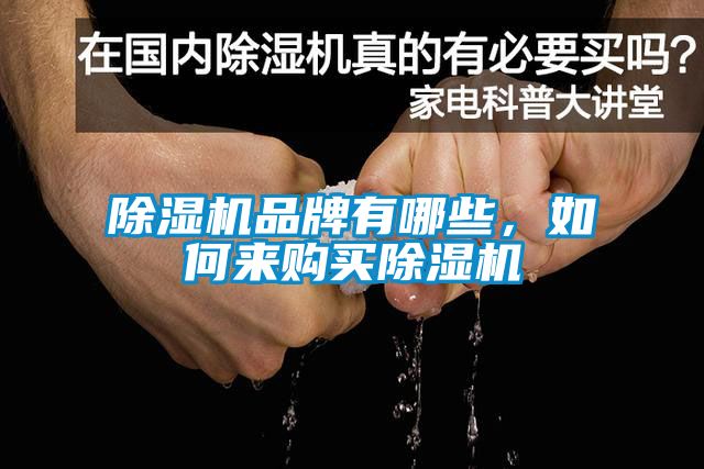 除濕機(jī)品牌有哪些，如何來購買除濕機(jī)