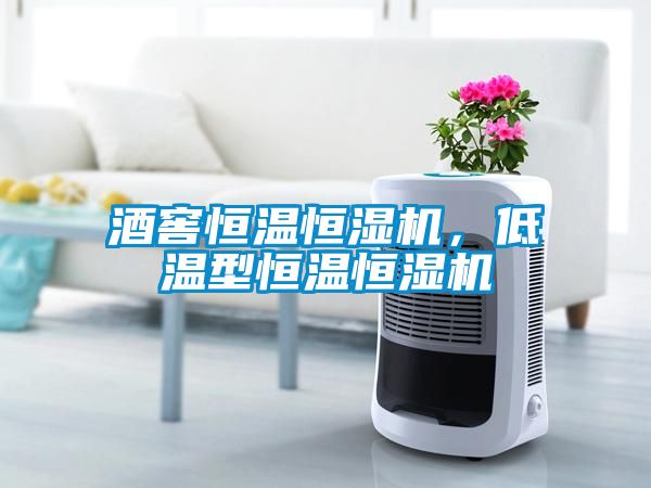 酒窖恒溫恒濕機(jī)，低溫型恒溫恒濕機(jī)