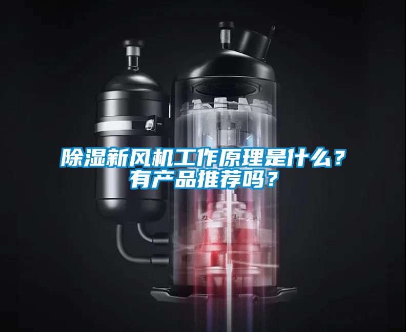 除濕新風(fēng)機(jī)工作原理是什么？有產(chǎn)品推薦嗎？