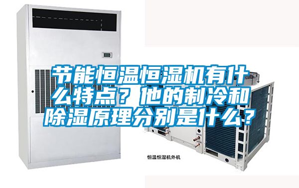 節(jié)能恒溫恒濕機(jī)有什么特點(diǎn)？他的制冷和除濕原理分別是什么？