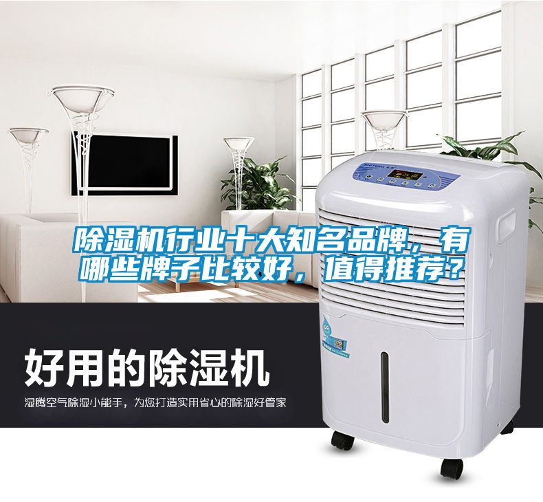除濕機(jī)行業(yè)十大知名品牌，有哪些牌子比較好，值得推薦？