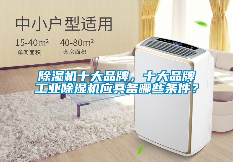 除濕機(jī)十大品牌，十大品牌工業(yè)除濕機(jī)應(yīng)具備哪些條件？