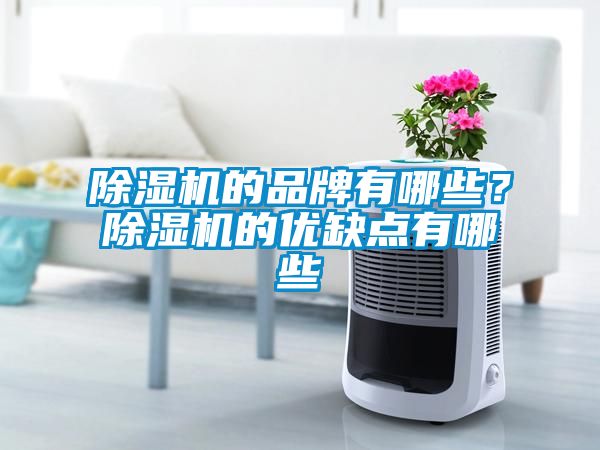 除濕機的品牌有哪些？除濕機的優(yōu)缺點有哪些