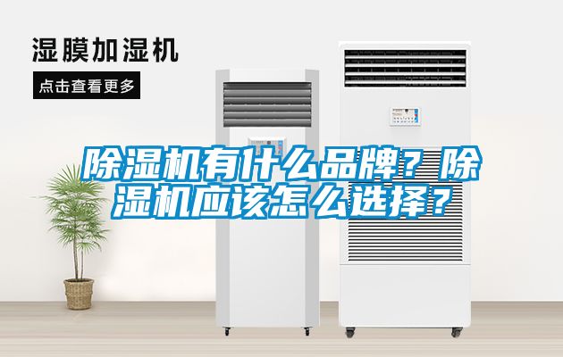 除濕機(jī)有什么品牌？除濕機(jī)應(yīng)該怎么選擇？