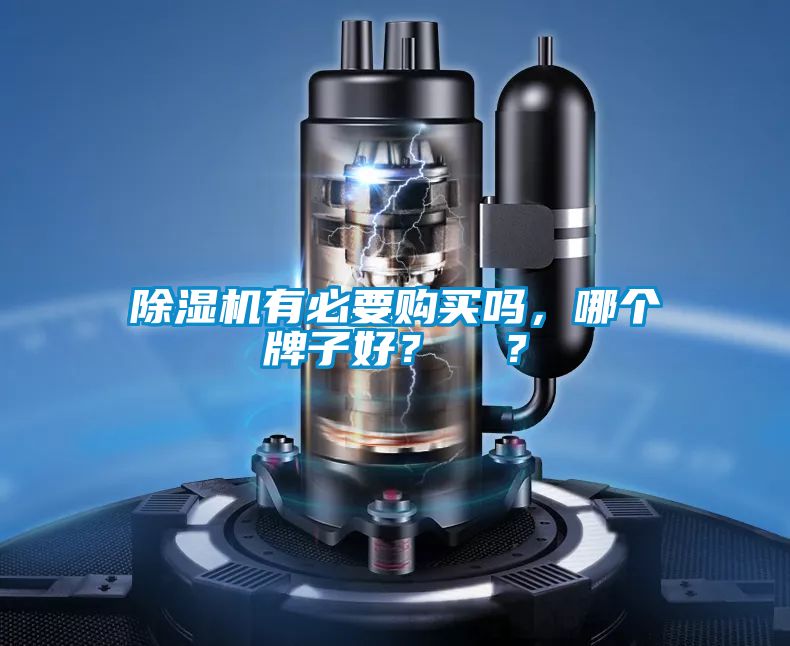 除濕機(jī)有必要購買嗎，哪個(gè)牌子好？  ？
