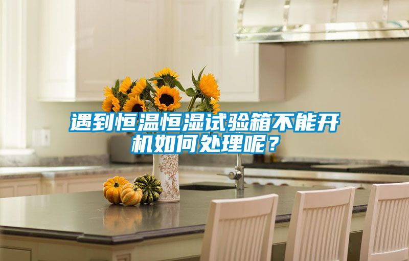 遇到恒溫恒濕試驗(yàn)箱不能開機(jī)如何處理呢？