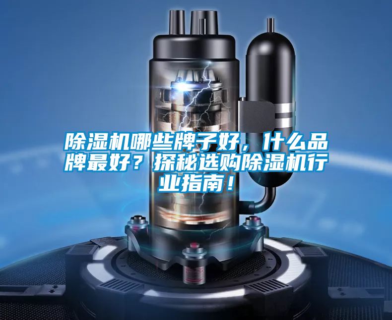 除濕機(jī)哪些牌子好，什么品牌最好？探秘選購(gòu)除濕機(jī)行業(yè)指南！