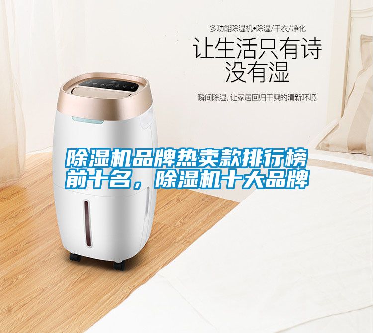 除濕機(jī)品牌熱賣款排行榜前十名，除濕機(jī)十大品牌