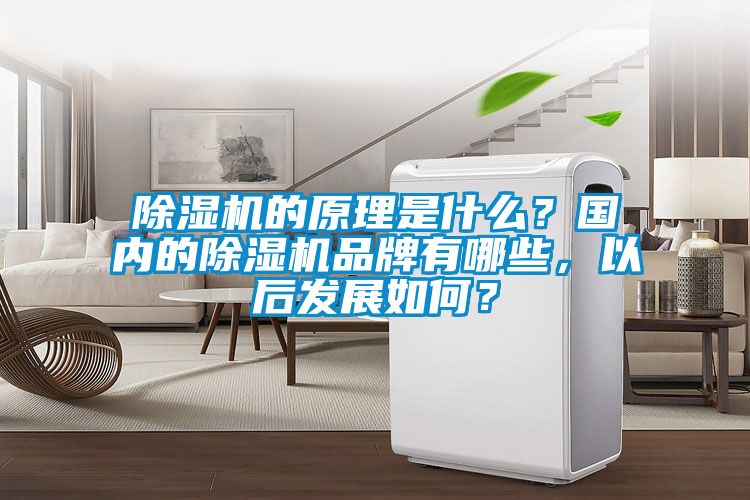 除濕機的原理是什么？國內的除濕機品牌有哪些，以后發(fā)展如何？
