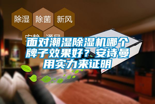 面對潮濕除濕機哪個牌子效果好？安詩曼用實力來證明