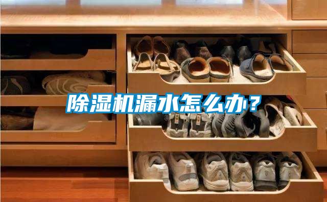 除濕機(jī)漏水怎么辦？