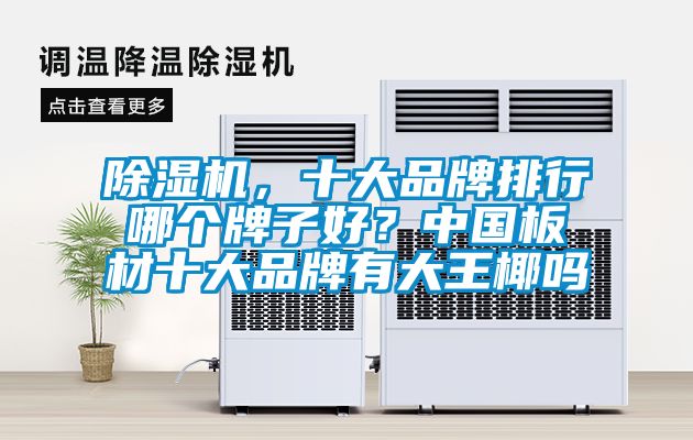 除濕機(jī)，十大品牌排行哪個牌子好？中國板材十大品牌有大王椰嗎