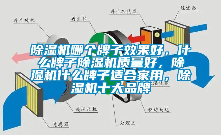 除濕機(jī)哪個(gè)牌子效果好，什么牌子除濕機(jī)質(zhì)量好，除濕機(jī)什么牌子適合家用，除濕機(jī)十大品牌