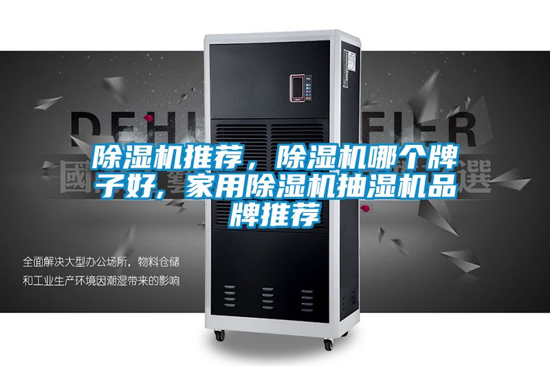 除濕機(jī)推薦，除濕機(jī)哪個(gè)牌子好, 家用除濕機(jī)抽濕機(jī)品牌推薦
