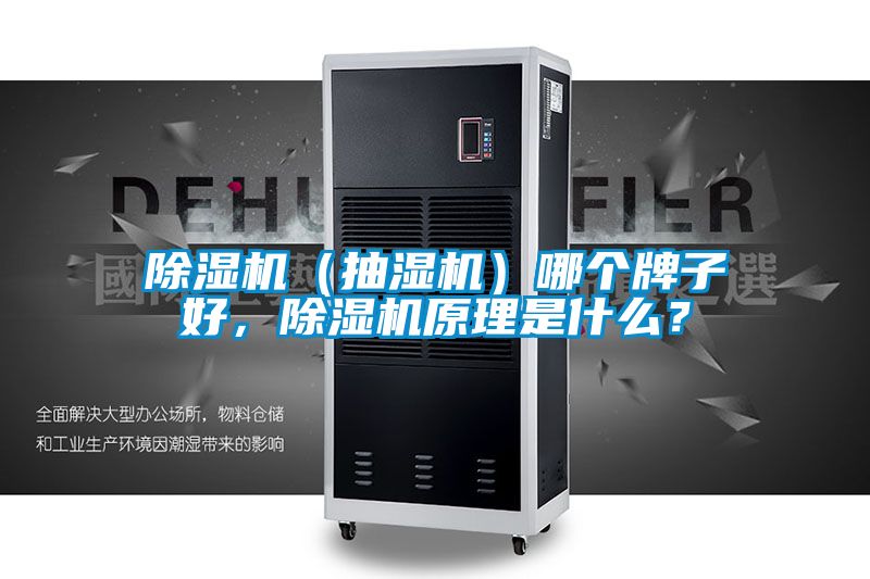除濕機(jī)（抽濕機(jī)）哪個(gè)牌子好，除濕機(jī)原理是什么？
