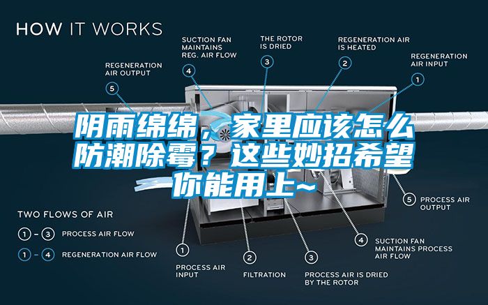 陰雨綿綿，家里應(yīng)該怎么防潮除霉？這些妙招希望你能用上~
