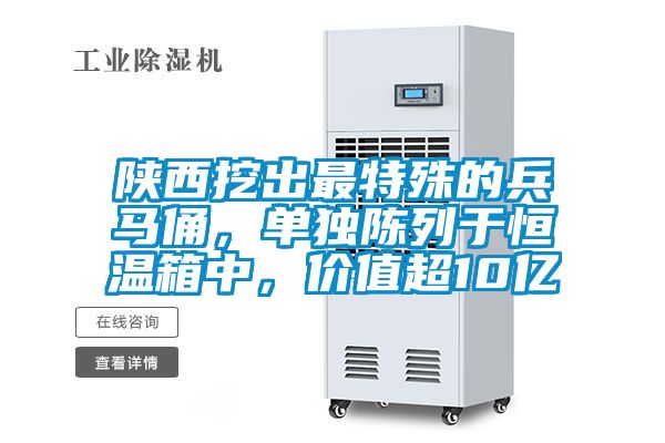 陜西挖出最特殊的兵馬俑，單獨(dú)陳列于恒溫箱中，價(jià)值超10億