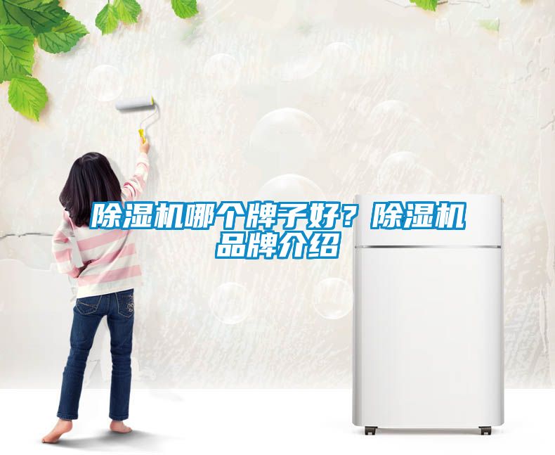 除濕機(jī)哪個牌子好？除濕機(jī)品牌介紹