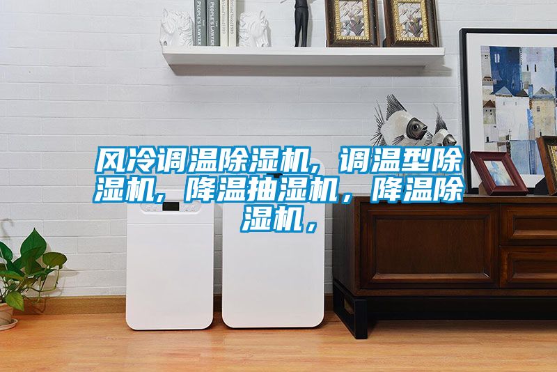 風(fēng)冷調(diào)溫除濕機, 調(diào)溫型除濕機, 降溫抽濕機，降溫除濕機，
