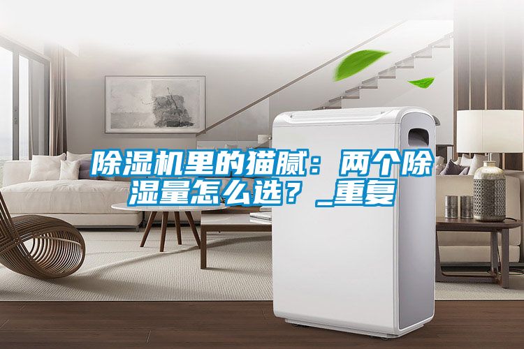 除濕機(jī)里的貓膩：兩個(gè)除濕量怎么選？_重復(fù)