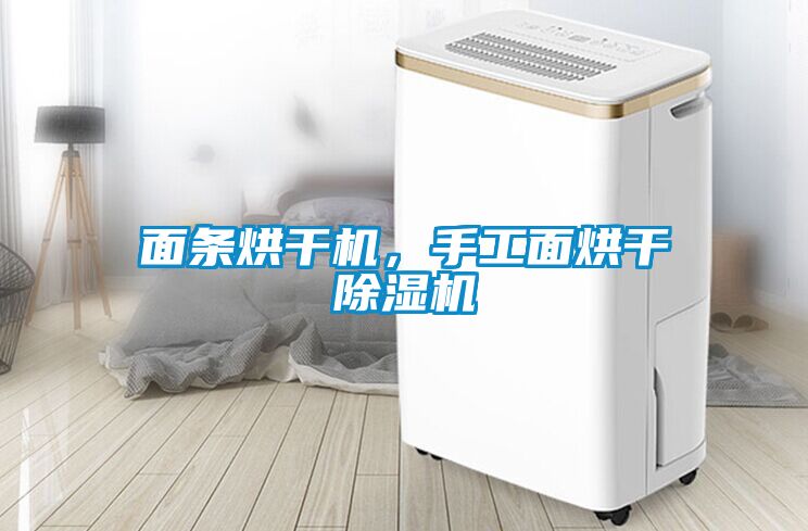 面條烘干機(jī)，手工面烘干除濕機(jī)