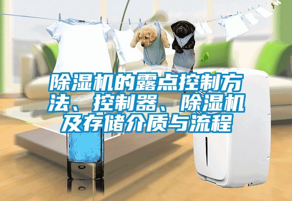 除濕機(jī)的露點控制方法、控制器、除濕機(jī)及存儲介質(zhì)與流程