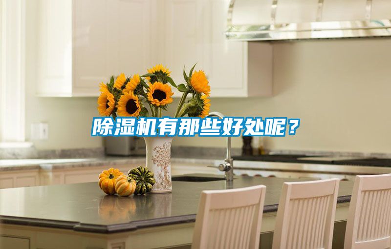 除濕機有那些好處呢？