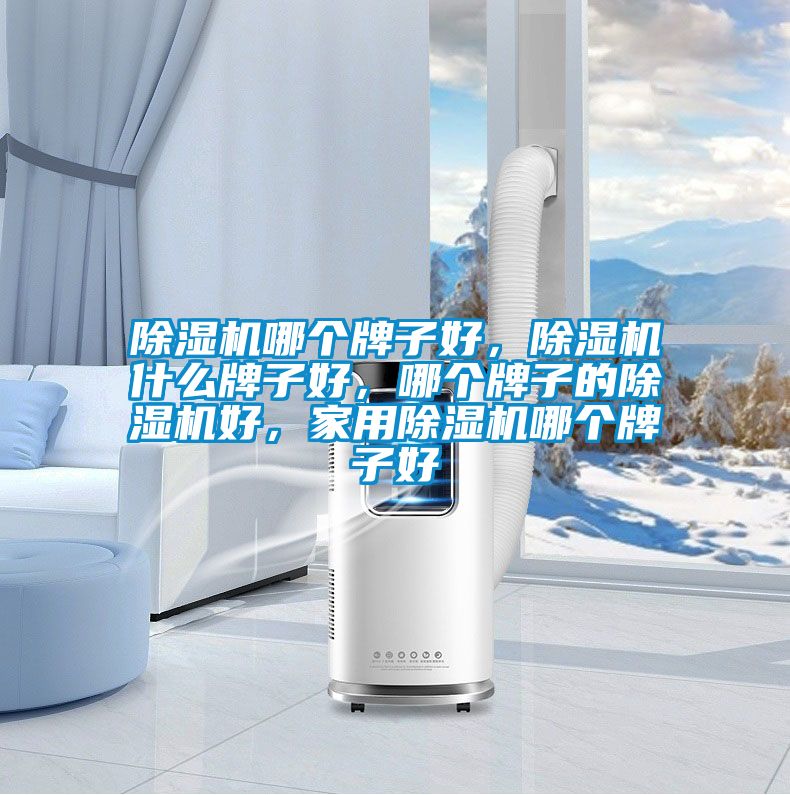 除濕機(jī)哪個(gè)牌子好，除濕機(jī)什么牌子好，哪個(gè)牌子的除濕機(jī)好，家用除濕機(jī)哪個(gè)牌子好