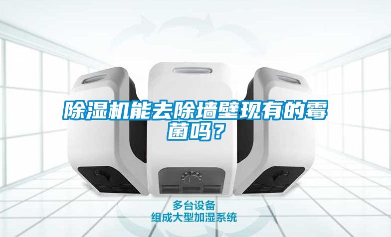 除濕機(jī)能去除墻壁現(xiàn)有的霉菌嗎？