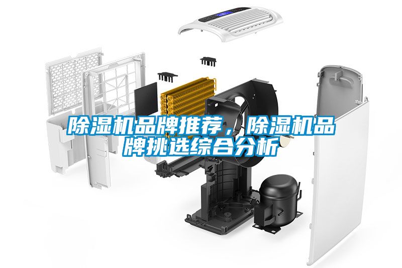 除濕機(jī)品牌推薦，除濕機(jī)品牌挑選綜合分析