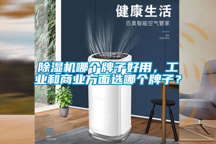 除濕機(jī)哪個(gè)牌子好用，工業(yè)和商業(yè)方面選哪個(gè)牌子？