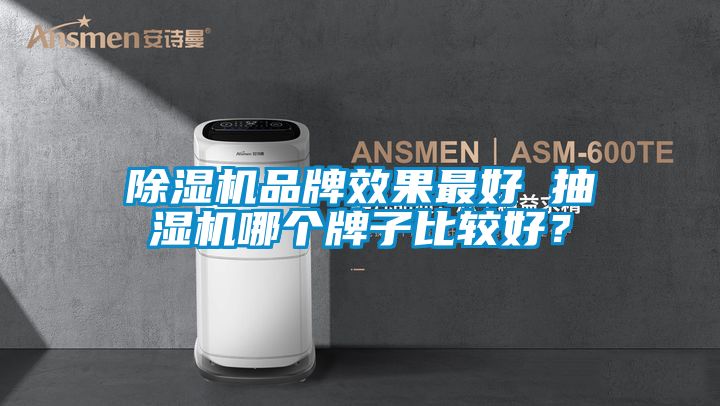 除濕機(jī)品牌效果最好 抽濕機(jī)哪個牌子比較好？