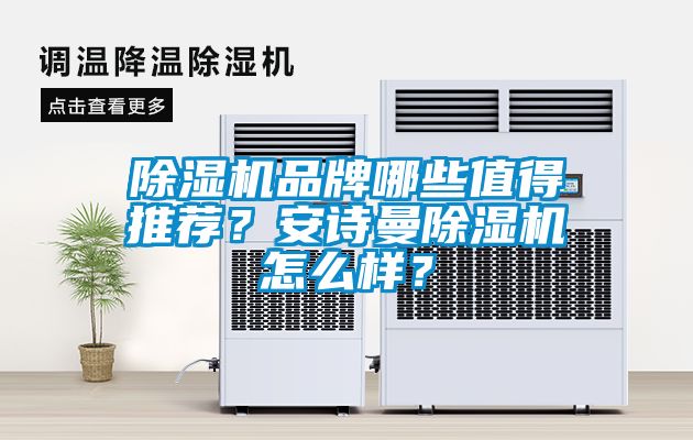 除濕機(jī)品牌哪些值得推薦？安詩(shī)曼除濕機(jī)怎么樣？