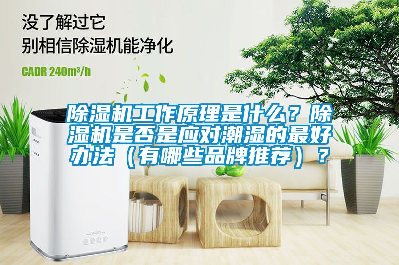 除濕機工作原理是什么？除濕機是否是應對潮濕的最好辦法（有哪些品牌推薦）？