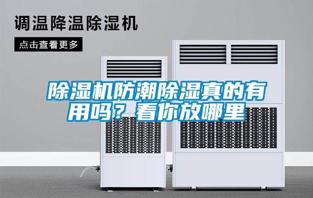除濕機(jī)防潮除濕真的有用嗎？看你放哪里