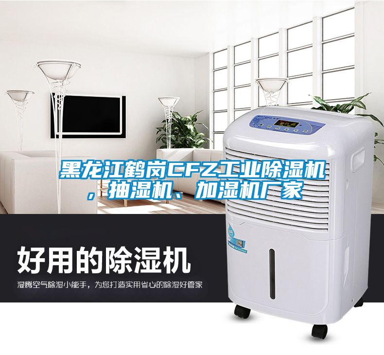 黑龍江鶴崗CFZ工業(yè)除濕機(jī)，抽濕機(jī)、加濕機(jī)廠家