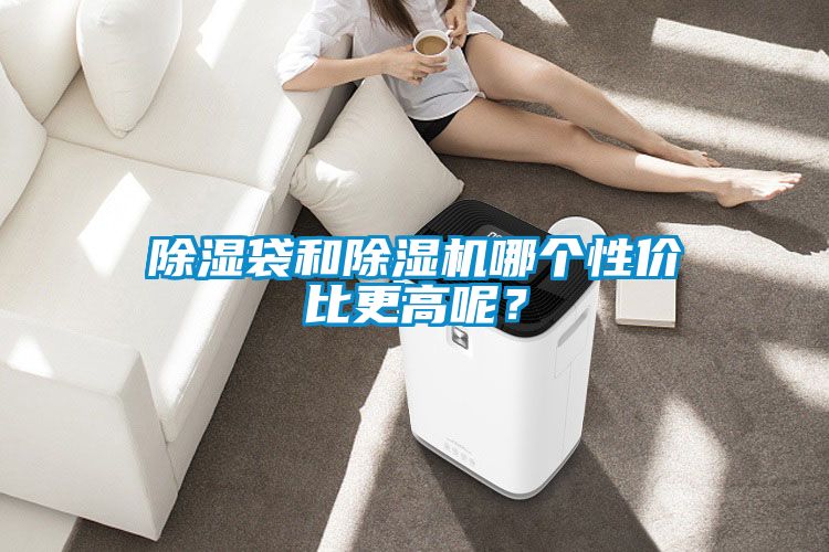除濕袋和除濕機(jī)哪個(gè)性價(jià)比更高呢？