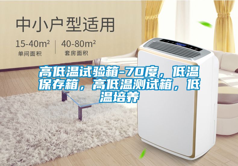 高低溫試驗箱-70度，低溫保存箱，高低溫測試箱，低溫培養(yǎng)