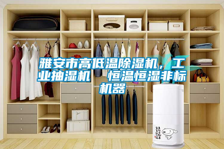 雅安市高低溫除濕機，工業(yè)抽濕機  恒溫恒濕非標(biāo)機器
